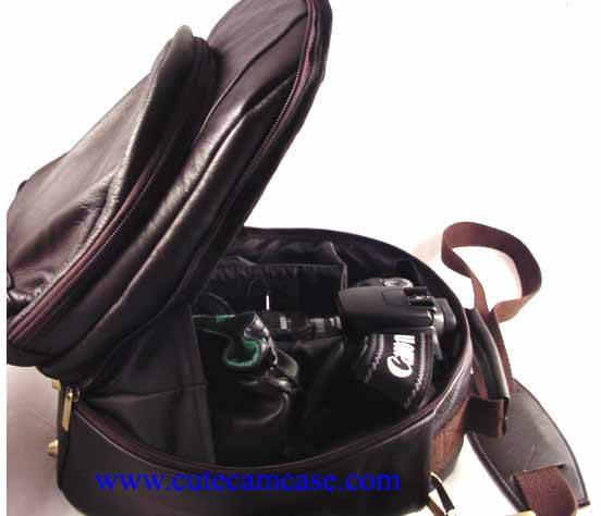 Luxury Leather Case